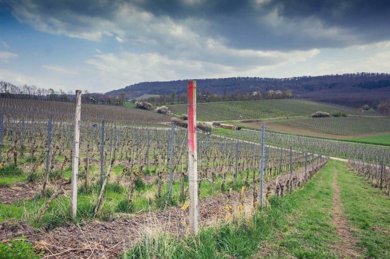 Landhotel Und Weingasthof Schwarzer Adler Wiesenbronn المظهر الخارجي الصورة